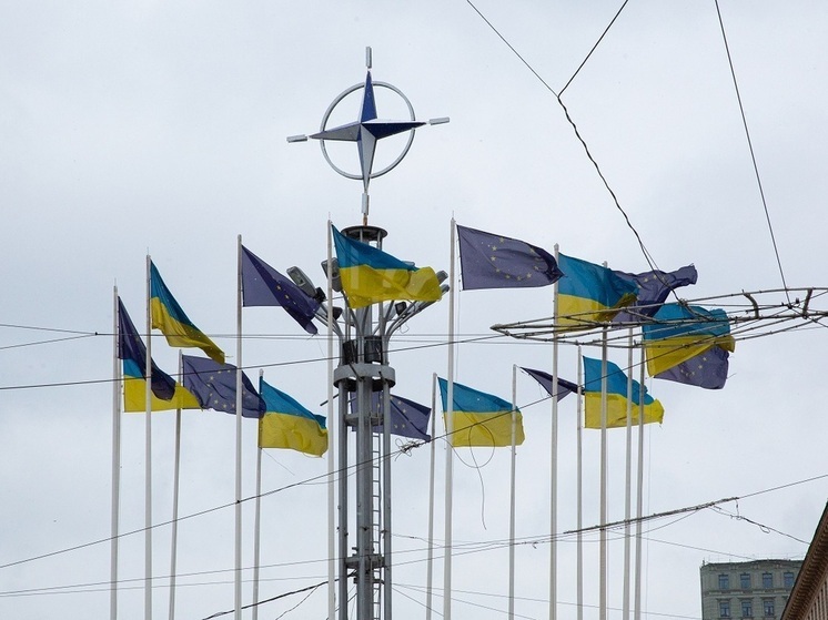 Паула Пиньо: ЕК ждет скорейшего ответа глав стран ЕС по финансированию Украины