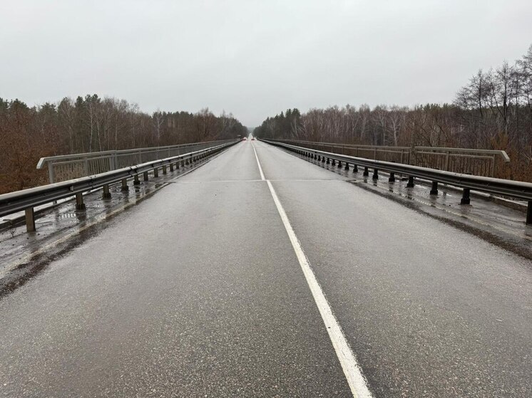 Мост на федеральной трассе А-298 в Тамбовской области закрыт для всех видов транспорта