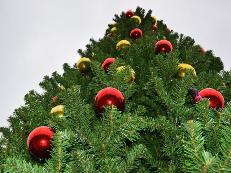 Тамбов начинает преображаться к новогодним праздникам