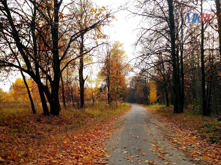Калужан предупреждают о гололедице