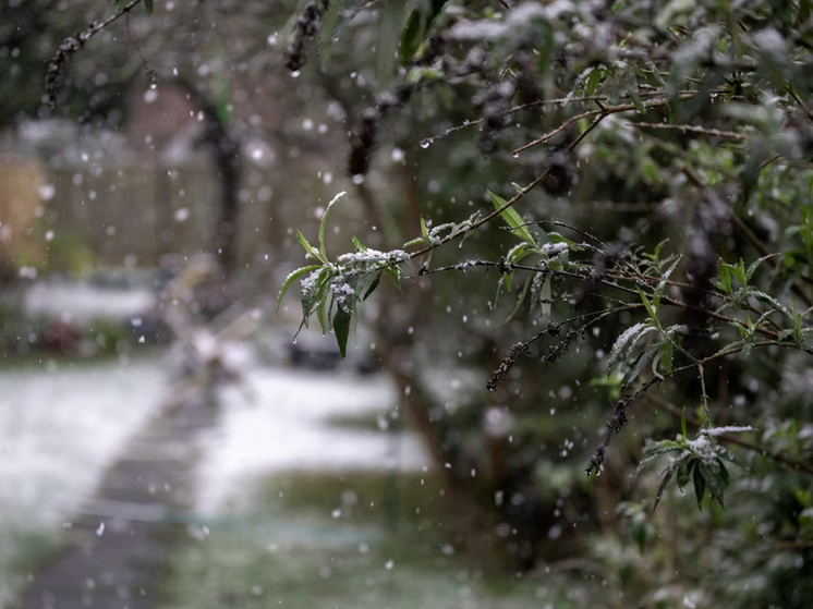 Липецкая область готовится к дождю и мокрому снегу