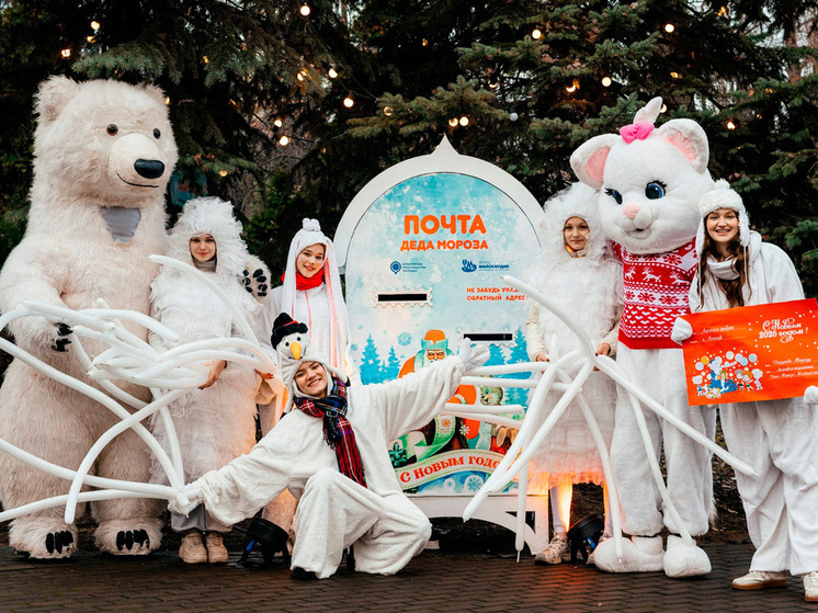 Юные липчане могут отправить письма Деду Морозу