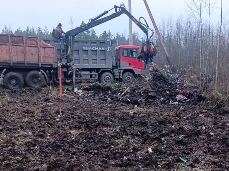 Две тысячи кубометров мусора вывезли со свалок на землях лесного фонда