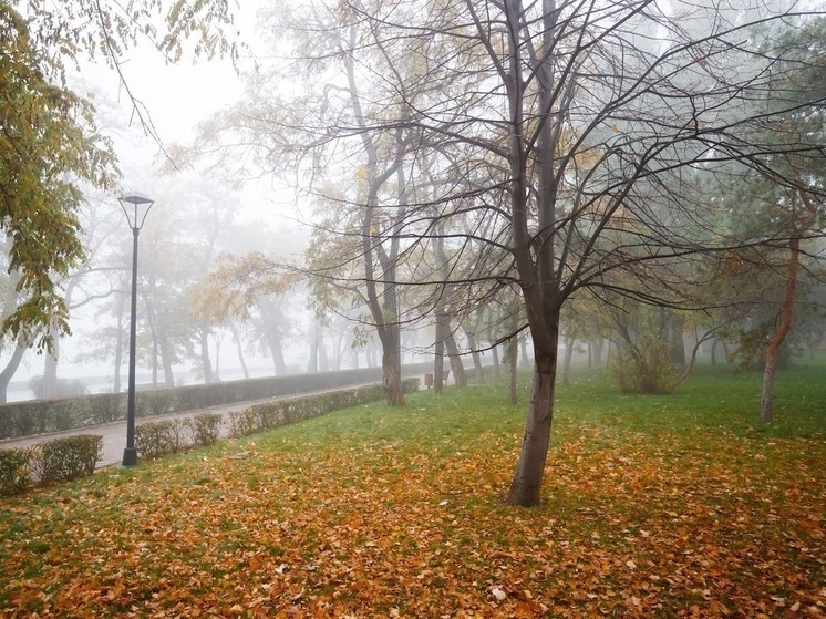 Жителям Волгоградской области обещают 19 ноября дожди и до +15℃