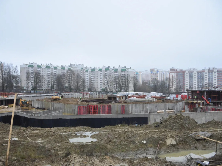 Депутаты Орловского областного Совета народных депутатов оценили прогресс на площадках возведения новых школ на улице Родзевича-Белевича в Северном районе Орла и в деревне Жилина Орловского муниципального округа, а также детально ознакомились с ходом капитального ремонта средней общеобразовательной школы № 29 имени Д