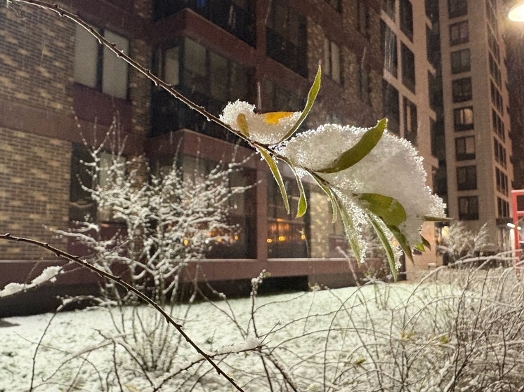 Прогноз погоды на 19 ноября: в Красноярске сохранится гололедица