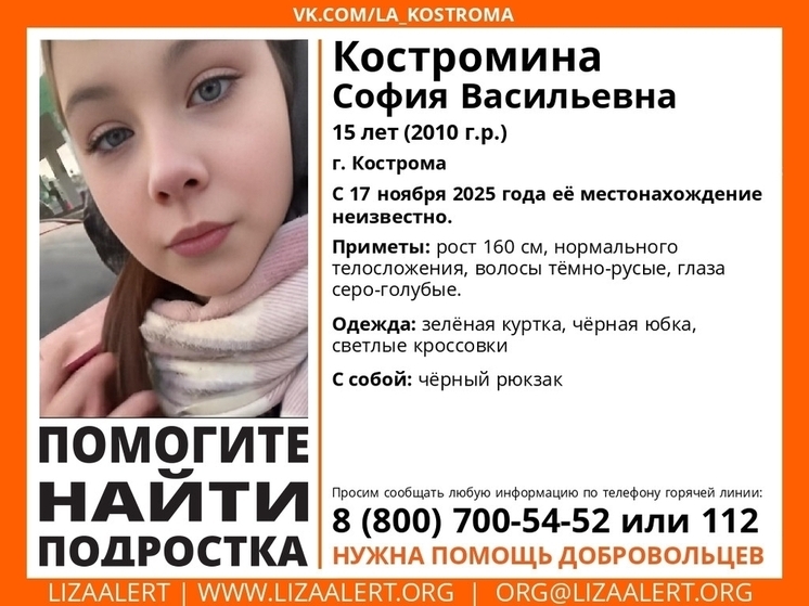 В Костроме развернули поиски пропавшей 15-летней девушки