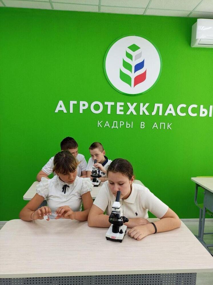 В рамках реализации масштабной федеральной программы «Модернизация школьных систем образования» большая половина запланированных к ремонту объектов в Грачёвском округе уже успешно реализована