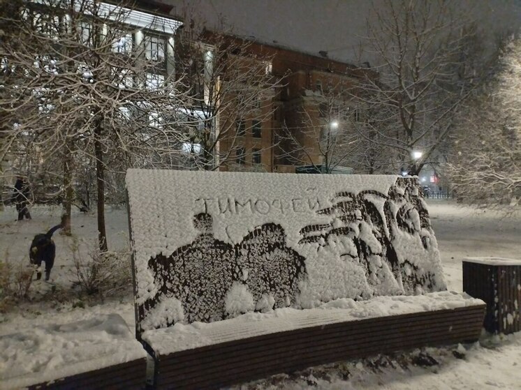 Петербуржцы вышли рисовать на заснеженных скамейках