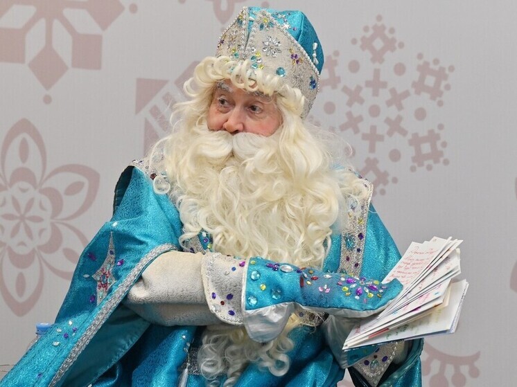 В Рязани представили программу проекта «Новогодняя столица России-2026