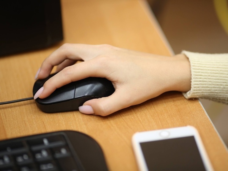 Волгоградские правоохранители начали кампанию по снижению киберпреступности