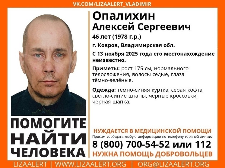 Неделю идут поиски нуждающегося в медпомощи жителя Коврова
