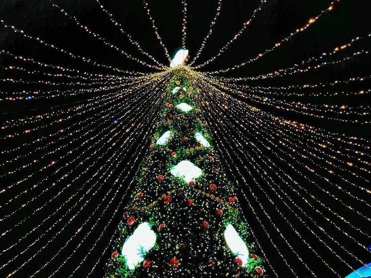 Торжества Новогодней столицы в Рязани пройдут с 13 декабря по 10 января