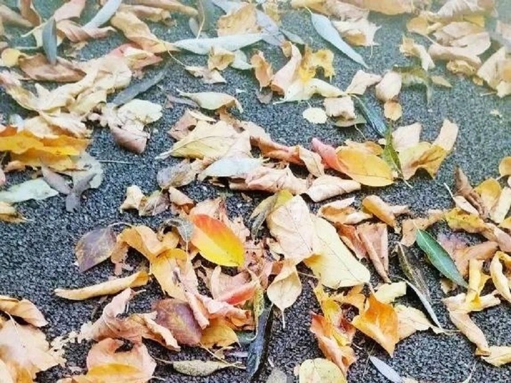 В Костромской области ожидается резкое ухудшение погоды