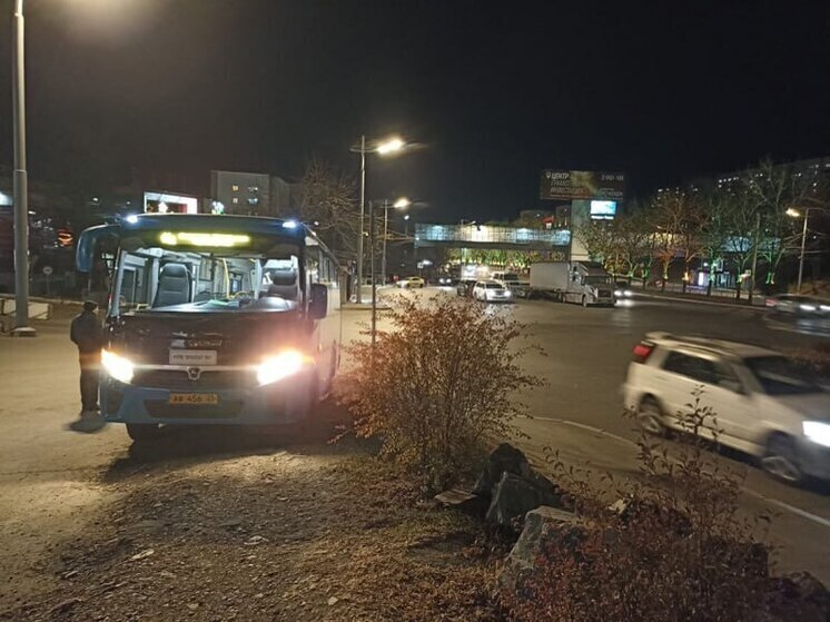 Резкое торможение автобуса во Владивостоке привело к травме пассажирки