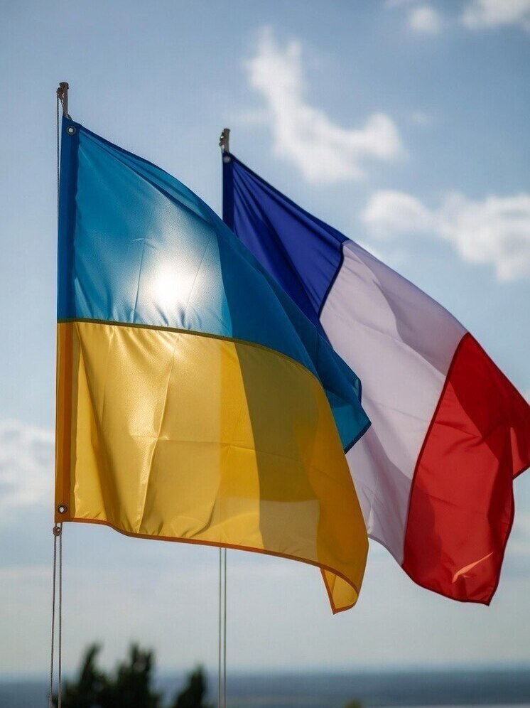 Депутат Европарламента считает спектаклем соглашение Украины и Франции о покупке 100 истребителей