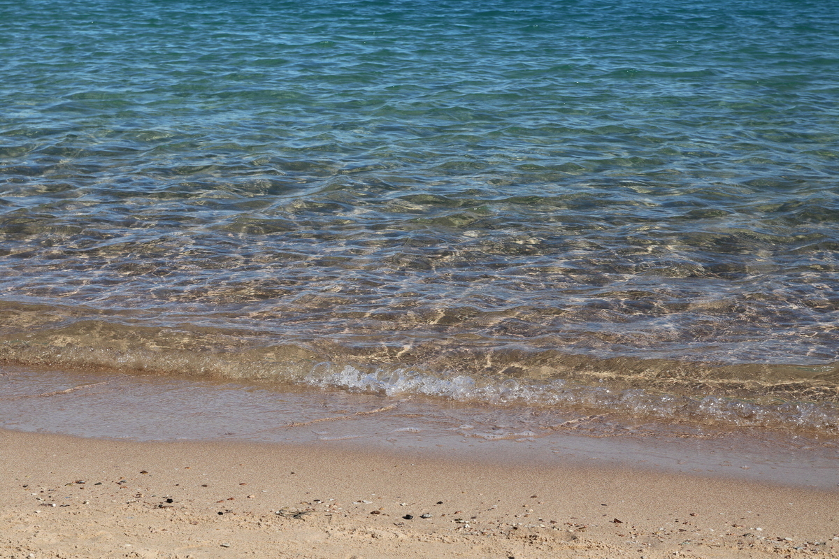 Объявлен день вынесения приговора по делу о смерти россиян в Хургаде