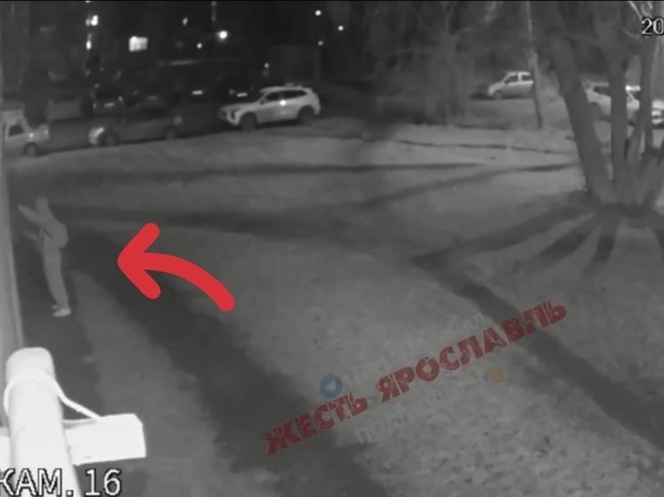 В Ярославле начали поиск вандала, расписавшего Суздалку рекламой наркотиков