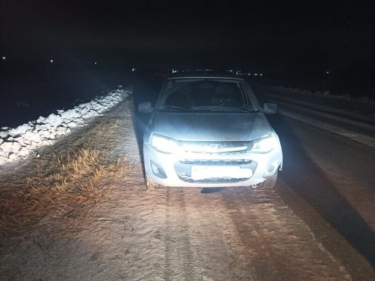 В Барабинском районе пешеход погиб под колёсами автомобиля