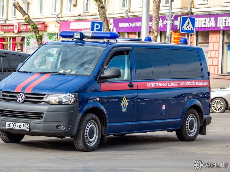 В связи со смертью новорожденного в кемеровском перинатальном центре, обстоятельствами произошедшего заинтересовалось руководство Следственного комитета России