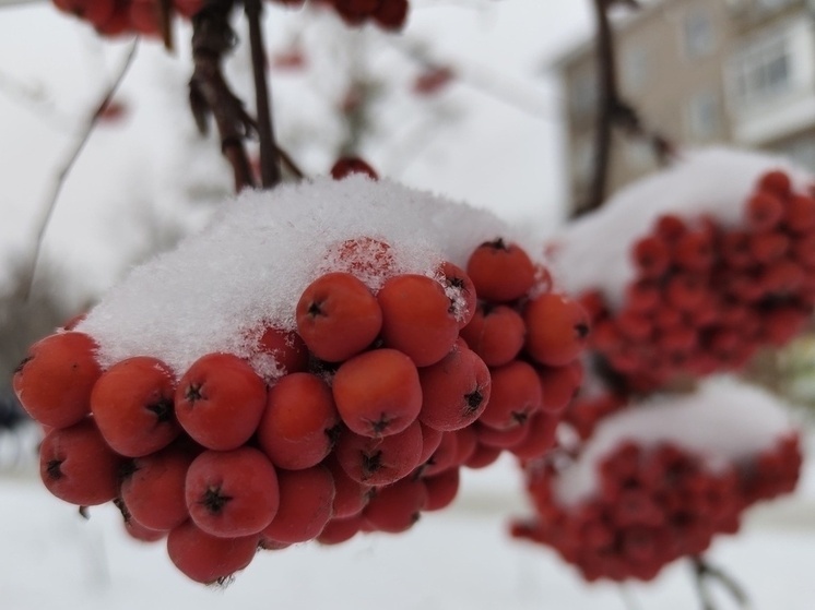 В ближайшие дни омичей ждет сильный мокрый снег