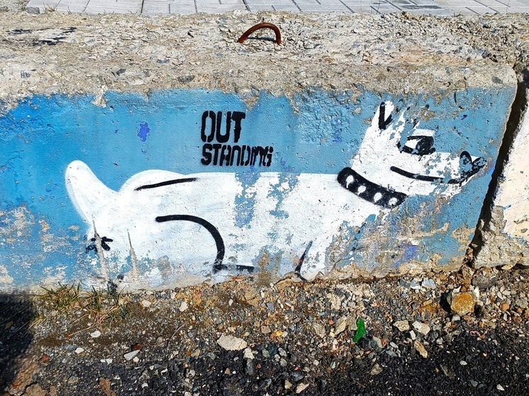 На Юго-западе Екатеринбурга на жителей нападает стая собак