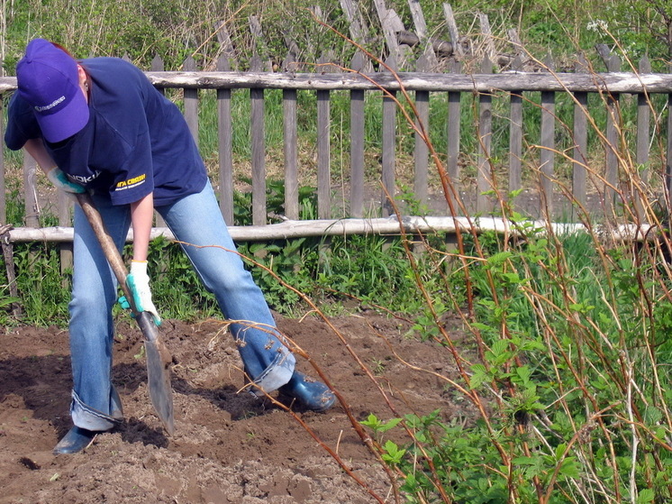 Коллега побывал в деревне у родни и приехал с пустыми руками: чего им, жалко что ли - почему его не угостили соленьями