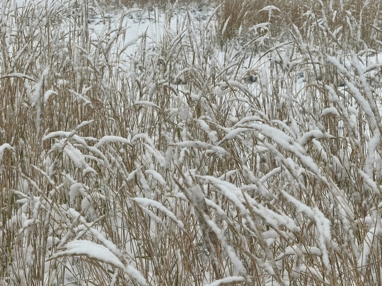 Ураганный ветер и метель обрушится на Сахалин и Курилы