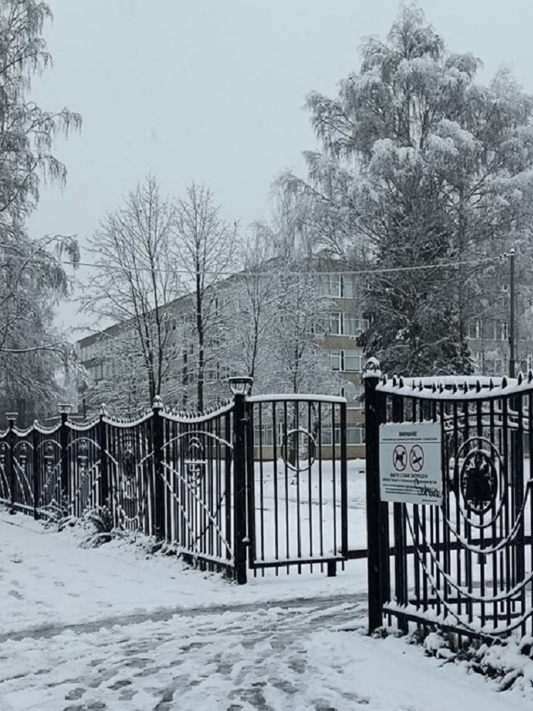 Студентам Владимирской области скорректируют сроки обучения в вузах