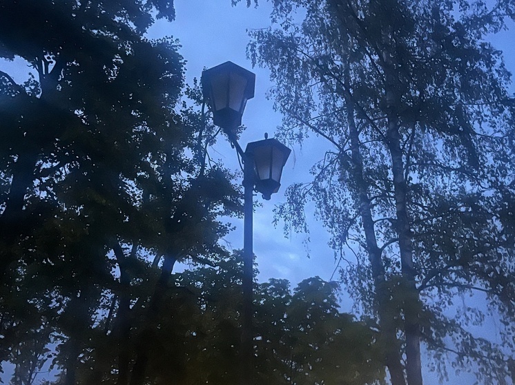 В ДНР ввели режим ЧС из-за массированной атаки дронов на ключевые электростанции