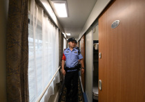 Вьетнамские полицейские передали представителям российского бюро Интерпола чиновницу, скрывавшуюся от уголовного преследования