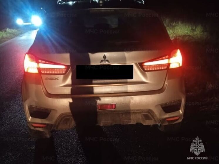 Mitsubishi сбил пешехода в Ульяновском районе