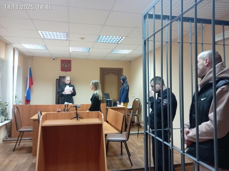 Вор из Вологды получил 7 лет строгого режима за кражу 36 айфонов в Иванове