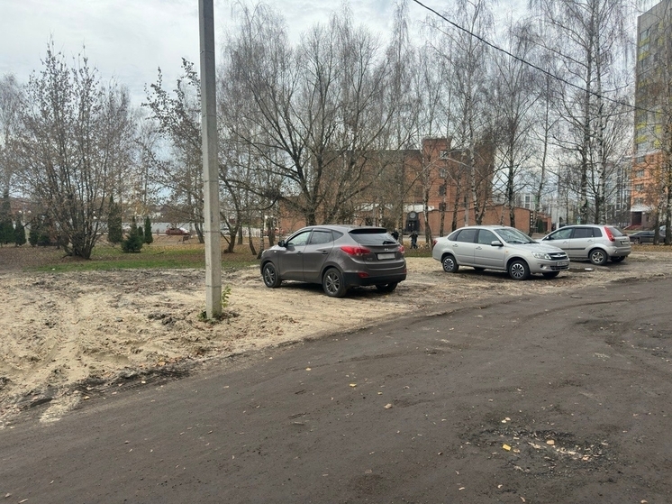 Брянские автомобилисты используют урочище "Лесные сараи" как парковку