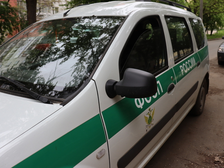 В Самарской области с мужчины взыскали штраф в 500 тысяч за кражу 15 млн рублей