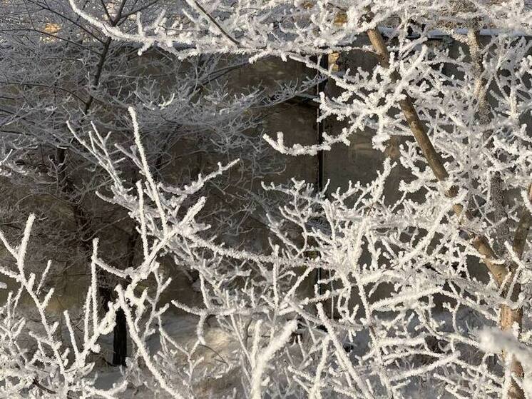 Читинцам предложили поучаствовать в конкурсах на лучшее новогоднее оформление