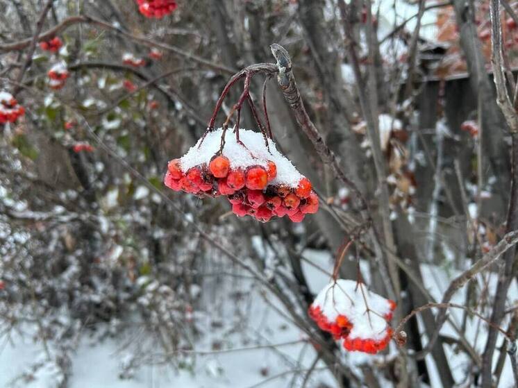Похолодание с порывистым ветром возвращается в Алтайский край