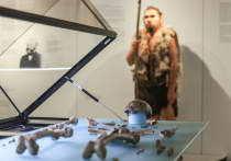 Неандертальцы и древние люди, "вероятно, целовались", говорят ученые