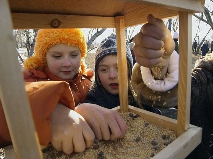 Совет жителям Калмыкии: завтра прикормите птиц