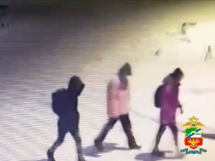 Трое несовершеннолетних осуждены новосибирским судом на 6,5 лет за поджог