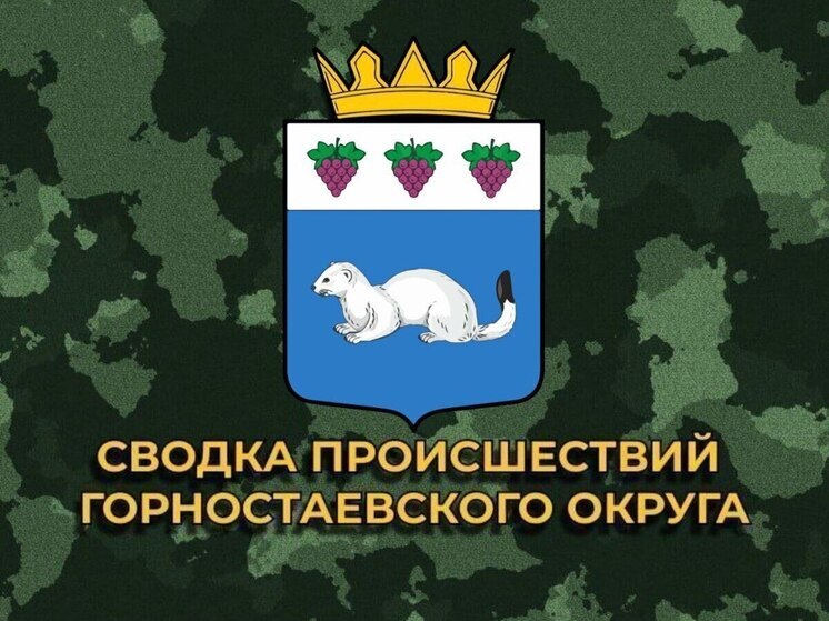 За сутки ВСУ 9 раз обстреляли Горностаевский округ