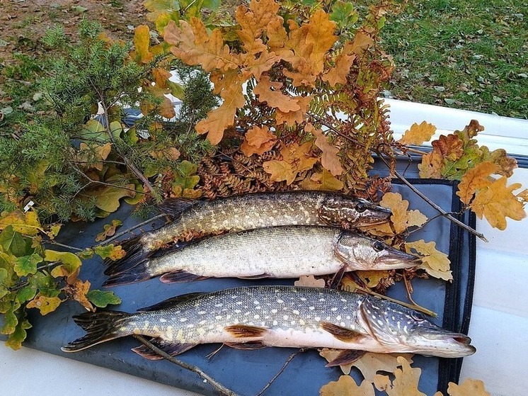 Почему завтра мужчинам Калмыкии нужно сходить на рыбалку