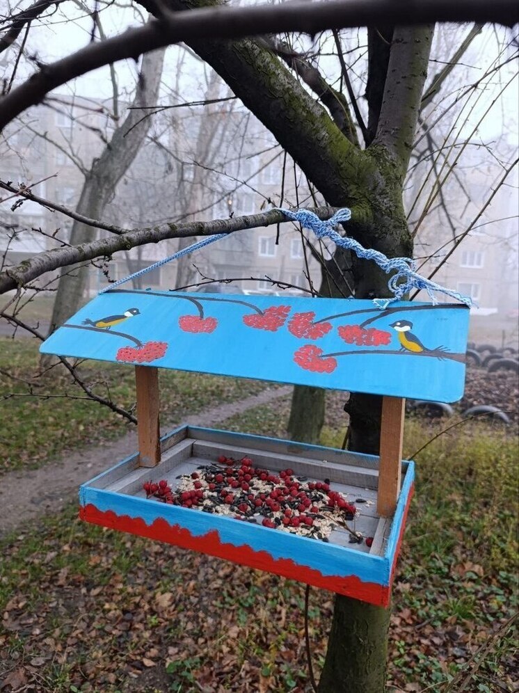 Ясиноватские школьники присоединились к акции «Эколята - друзья синичек»