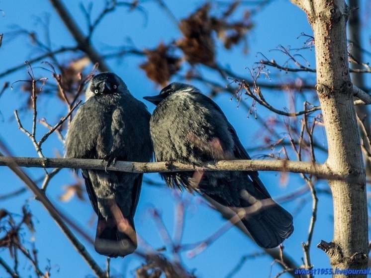 Какой будет погода в Калмыкии: завтра расскажут приметы