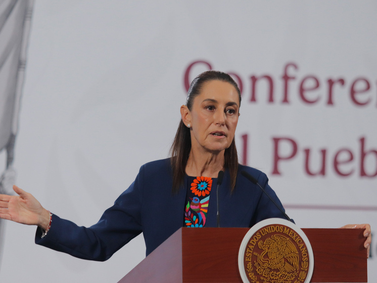 Президент Мексики Клаудия Шейнбаум вновь отвергла угрозу Дональда Трампа о военных действиях против наркокартелей внутри ее страны, заявив журналистам: “Этого не произойдет”