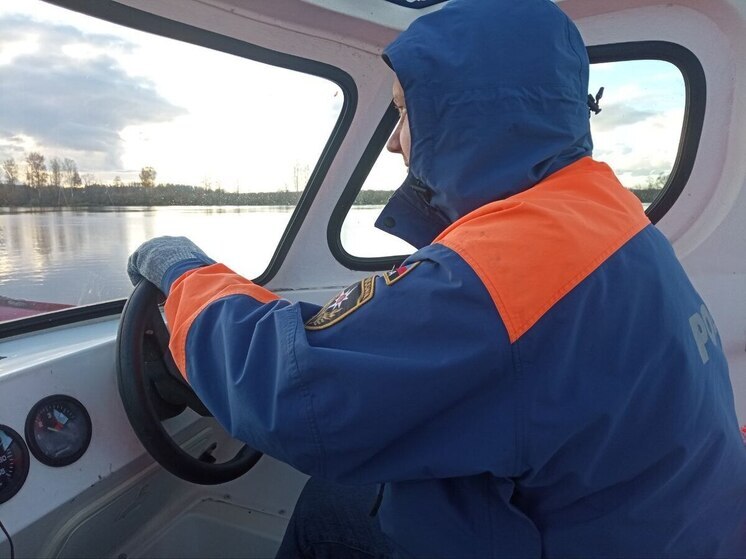 Ленинградские спасатели за сутки выезжали на пожары, ДТП и поисковые работы