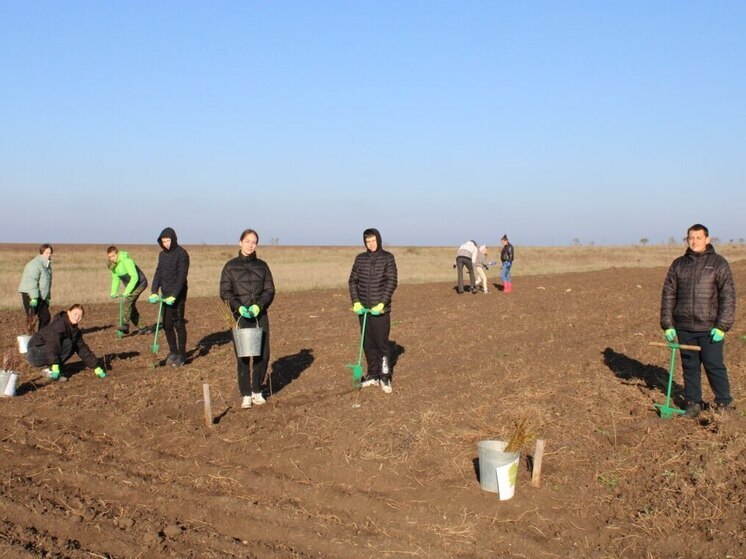 В Крыму высадили 180 тысяч деревьев в рамках экологической акции