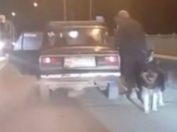 В Донецке пенсионер привязал собаку к бамперу машины и тащил ее на скорости