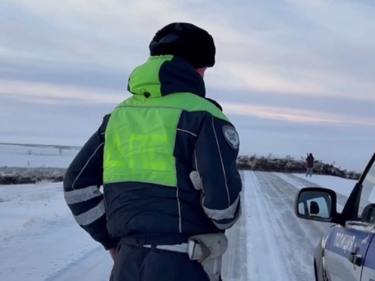 Из-за перегона сотен оленей перекрыли трассу Салехард — Аксарка