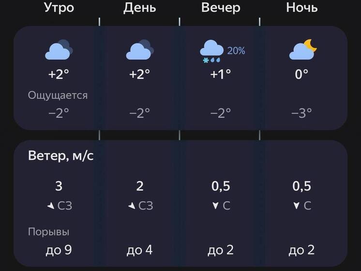 Пензенцев предупредили о снеге с дождем 19 ноября